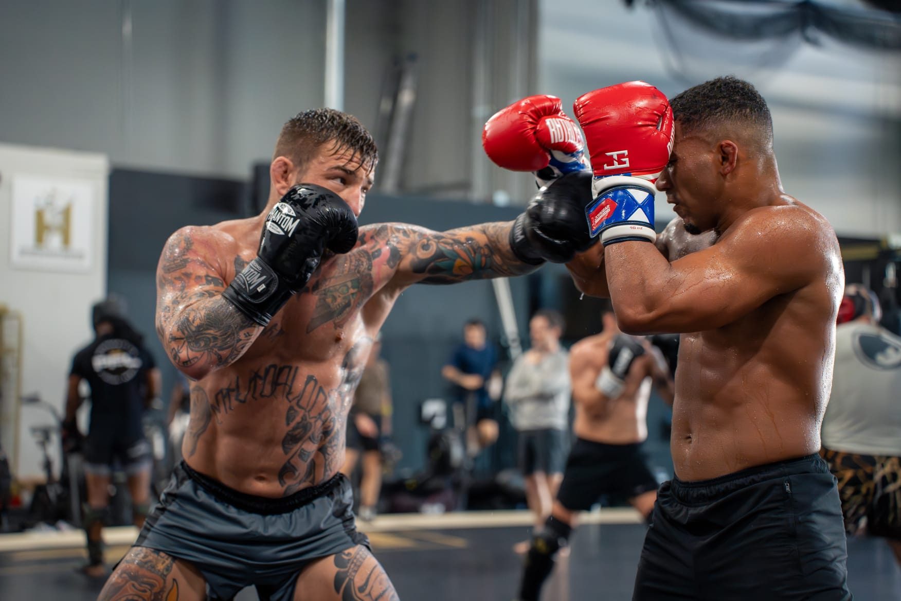 Sparring im Gym